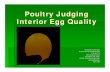 Poultry Judging Interior Egg Quality · 2020. 5. 6. · Poultry Judging . Poultry Judging Interior Egg Quality Created by Connie Page Emanuel County Extension Agent P.O. Box 770 129