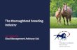 The thoroughbred breeding industry · The industry club for young breeding and racing enthusiasts To encourage and foster a passion for thoroughbred breeding and racing: •Membership