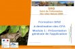 Formation SIN2 à destination des CFA Module 1 : Présentation …sin2.din.developpement-durable.gouv.fr/info/IMG/pdf/SIN2... · 2016. 10. 3. · Module 1 : Présentation Générale