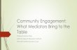Community Engagement: What Mediators Bring to the Table · Community Engagement in Crisis Challenging environment Safety Transformative Theory –Ally function Create Plan for Community