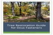 Tree Restoration Guide for Dzus Fasteners · The removal of contaminated material requires unavoidable impact (both temporary and permanent) to upland areas, wetlands and waterways