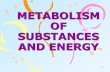 METABOLISM OF SUBSTANCES AND ENERGYphysiology.nuph.edu.ua/wp-content/uploads/2018/01/METABOLISM.… · •Action: part of co-enzymes NAD and NADPh; participates in metabolism of carbohydrates,
