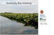 Sandusky Bay Initiative - Restore America's Estuaries€¦ · Sandusky Bay. • Maintain boat recreation access. • Public/Private Partnership and City of Sandusky and local stakeholders.