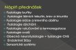 Fyziologie buňky - Masaryk University · Nervová buňka – mitochondrie, granulární endoplazmatické retikulum, ribozomy, jádro membrána-změny membránového potenciálu Životní