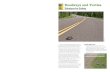 Roadways and turtles - Minnesota Department of Natural Resources · 2013. 4. 18. · • Turtles which are in imminent danger should be moved, by hand, out of harm’s way. Turtles