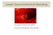 Lower Gastrointestinal Bleeding Gastrointestinal... · Lower Gastrointestinal Bleeding Hussein Shamaly M.D. French Hospital, Nazareth . Normal Rectum & Colon . Level of bleeding •