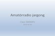 Amatörradio jargong · Italien 2016 Earthquake –Central Italy August 24, 2016 International Amateur Radio Union Region 1 (IARU-R1) President Don Beattie, G3BJ, reports. IARU Region