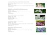 Lilacs updated Velta - Lombard Garden Clublombardgardenclub.org/pdf/Lilacs-updated-Velta.pdf · Lilacs updated Velta Author: Cynthia Ward Created Date: 3/8/2016 9:25:01 PM ...