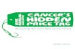 Cancer's Hidden Price Tag report Northern Ireland€¦ · 8 Cancer’s hidden price tag: revealing the costs behind the illness Executive summary Macmillan wants to make sure that