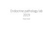 Endocrine pathology lab 2019 - JU Medicine€¦ · endocrine glands' pathology. •This file summarizes the most important points in the lab material. •In the practical part of