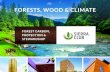 FORESTS, WOOD & CLIMATE...FORESTS, WOOD & CLIMATE 2 The timber industry routinely promotes its products as a solution to climate change, arguing that global warming can be mitigated