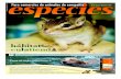 ACUARIOFILIA: cómo reproducir un acuario Micronesia · S.L. en octubre de 2005. [ ESPECIES ] Imagen archivo especies Un 48% de los dueños de tiendas especializadas en animales de