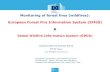 Monitoring of forest fires (wildfires): European Forest Fire … · 2019. 6. 26. · Monitoring of forest fires (wildfires): European Forest Fire Information System (EFFIS) & Global