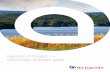 Green Origin — climate-smart gas · Air Liquide’s scientific territory and have been at the core of the company’s activities since its creation in 1902. Air Liquide’s ambition