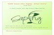 GAET Vasant Vihar Sapling Infant Centre”gaet.edu.in/vvpmps/Sapling Manual_2018-19.pdf · 2019. 9. 17. · “GAET Vasant Vihar Sapling – Infant Centre” (2018-2019) A Small Centre