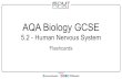 AQA Biology GCSE - PMT · 2020. 2. 7. · Flashcards - 5.2 Human Nervous System - AQA Biology GCSE Created Date: 20200130131556Z ...