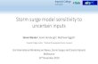 Storm surge model sensitivity to uncertain inputs · Tsunami Inundation Thetis-2D has been used for: Tidal energy. Thetis model setup: North Sea. ... •Due to cumulative effect as