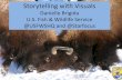 Danielle Brigida U.S. Fish & Wildlife Service @USFWSHQ and ......Dec 02, 2014  · Storytelling with Visuals Danielle Brigida U.S. Fish & Wildlife Service @USFWSHQ and @Starfocus