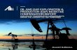2019 OIL AND GAS EXPLORATION & PRODUCTION (E&P) … · publicly-traded companies. To understand annual and long-term incentive (LTI) compensation pay practices in the energy sector,