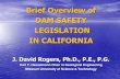 Brief Overview of DAM SAFETY LEGISLATION IN CALIFORNIAweb.mst.edu/~rogersda/dams_of_ca/Dam Safety... · •Lower San Fernando Dam was built by the City of Los Angeles as part of the