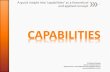 A quick insight into Zcapabilities as a theoretical and ... A quick insight into Zcapabilities as a