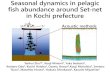 Seasonal dynamics in pelagic fish abundance around Set ... · Seasonal dynamics in pelagic fish abundance around Set -net in Kochi prefecture . Yanhui 2Zhu. 1S*, Kenji Minami , Yuka