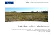 Vejledning tilsagn lavbund 2016 Vejledning til ... · Projekter til forundersøgelser finansieres af EU (100 pct.) via Den Europæiske Landbrugsfond for Udvikling af Landdistrikterne