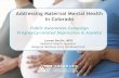Addressing Maternal Mental Health in Colorado · 4/1/2017  · CAMPAIGN OVERVIEW Goals: Improve the awareness and knowledge of pregnancy-related depression (PRD) and anxiety among