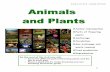Animal reproduction Parts of flowering Anchorage ... · Grade 6 unit 6L.5 – Animals and Plants 1 Animal reproduction Parts of flowering plants Anchorage Circulation. Gas exchange