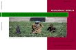 Afghanistan Economic Update - World Bank€¦ · “Afghanistan Food Security Outlook”, FEWS NET and WFP, July 2013 . 4. The economic outlook is discussed in greater detail later