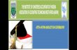 Ayemhere - MBA - International Business Management - Lag M.Sc.- Strategic Planning - Edinburgh Business