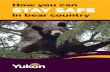 How you can STAY SAFE - Yukon · by the Safety in Bear Country Society and is based on their video, Staying Safe in Bear Country. The video was developed in collaboration with the