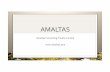 Amaltas Presentation Feb18amaltas.asia/images/Organization capability.pdf · Management Advisory BMGF: Supporting BMGF contribution to leadership and ownership of health and nutrition