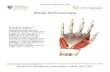 Wrist Arthroscopy - Asheville Orthopedic Associates · 2019. 1. 22. · Arthroscopy enables your surgeon to inspect the complex anatomy of your wrist and allows for both diagnosing