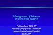 Management of Seizures in the School Settingmedia-ns.mghcpd.org.s3.amazonaws.com/epilepsy2017/2017...Management of Seizures in the School Setting • Summary - Epilepsy in the schools: