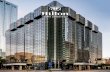 Hilton Tampa Downtown 211 N. Tampa Street | Tampa, FL ......Located in the heart of Tampa, Hilton Tampa Downtown is near top attractions including The Florida Aquarium, Busch Gardens