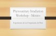 Phytosanitary Irradiation Workshop - México · Evolución de la Agroexportación Peruana 2000 ... COLORANTES NATURALES 991 731 -26% 5,062 2,793 -45% 0.05% GRASAS Y ACEITES DE ANIMALES