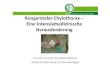 Kongenitaler Chylothorax- Eine intensivmedizinische ...sbb9a734021892a53.jimcontent.com/download/version... · • Chylothorax Fälle 1/1995-12/2009 ,n=8, 6 follow up • Alter bei