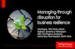 Managing through disruption for business resilience...Managing through disruption for business resilience Noel Tagoe, PhD, FCMA, CGMA Professor, University of Nottingham CEO, Noel