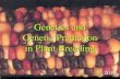Genetics and Genetic Prediction in Plant Breeding · in Plant Breeding 2010 Qualitative ... Quantitative Genetics Continuous variation, genetic models, model testing ... Selection