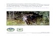 Wolf population estimation on Prince of Wales Island ... · Figure 2. Aerial photograph of wolves during a radiotracking flight, September 2012. We used the wolves observed on the