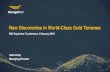 New Discoveries in World-Class Gold Terranes€¦ · Riversgold –investment highlights Making new discoveries in world-class gold provinces: • Eastern Goldfields of Western Australia