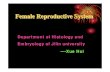Female Reproductive Systemmedicine.jlu.edu.cn/__local/E/99/A2/2BFC9AD3BA5... · Female Reproductive System Department of Histology and Embryology of Jilin university ----Xue Hui.