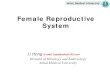 Female Reproductive System - jcyxy.ahmu.edu.cnjcyxy.ahmu.edu.cn/_upload/article/files/7d/9e/e5bb813d468bab248b… · Anhui Medical University Anhui Medical University Female Reproductive