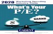 Marketing Spending Industry Study What’s Your P/E? · mean “Private Equity.” In regard to marketing spending, P/E is the Price/Equity Quotient™. This is calculated by dividing