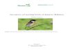 Inventory of nesting birds of Quarry Ribnicawildherzegovina.com/bibliography/Kotrosan-2012b.pdf · Inventory of nesting birds of Quarry Ribnica Final report Team: Dražen Kotrošan,