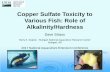 Copper Sulfate Toxicity to Various Fish: Role of … page/extension...Various Fish: Role of Alkalinity/Hardness Dave Straus Harry K. Dupree - Stuttgart National Aquaculture Research