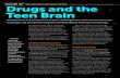 Drugs and the Teen Brain - WordPress.com€¦ · Exposing the teen brain to drugs can change how these pathways are organized and . how the brain functions. The negative impact of