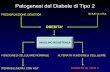Patogenesi del Diabete di Tipo 2 · patogenesi del diabete di tipo 2 insulino resistenza predisposizione genetica. stile di vita. obesita’ funzione β cellulare normale. iperinsulinemia