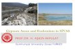 Gypsum Areas and Endemism in SİVAS · Sivas, Zara and İmranlı which is extensively karstifed with numerous sink holes and depression. HaﬁkLake to the east of Sivas, Tödürge